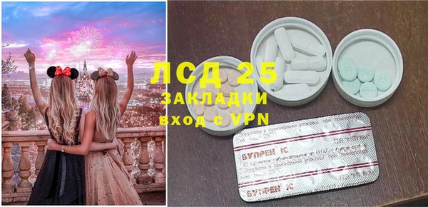 ПСИЛОЦИБИНОВЫЕ ГРИБЫ Алексин